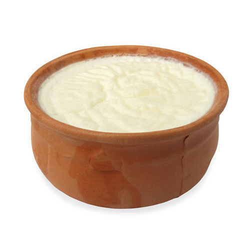 Greek Yoghurt or Curd